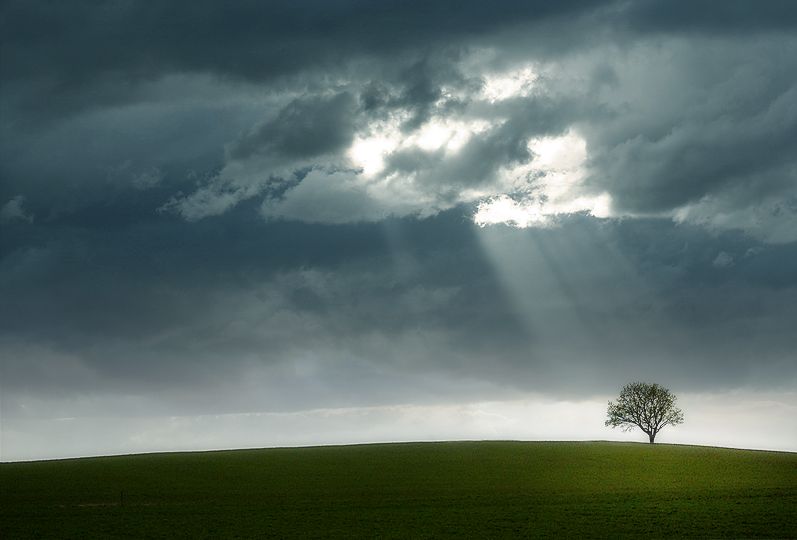 a day without rain