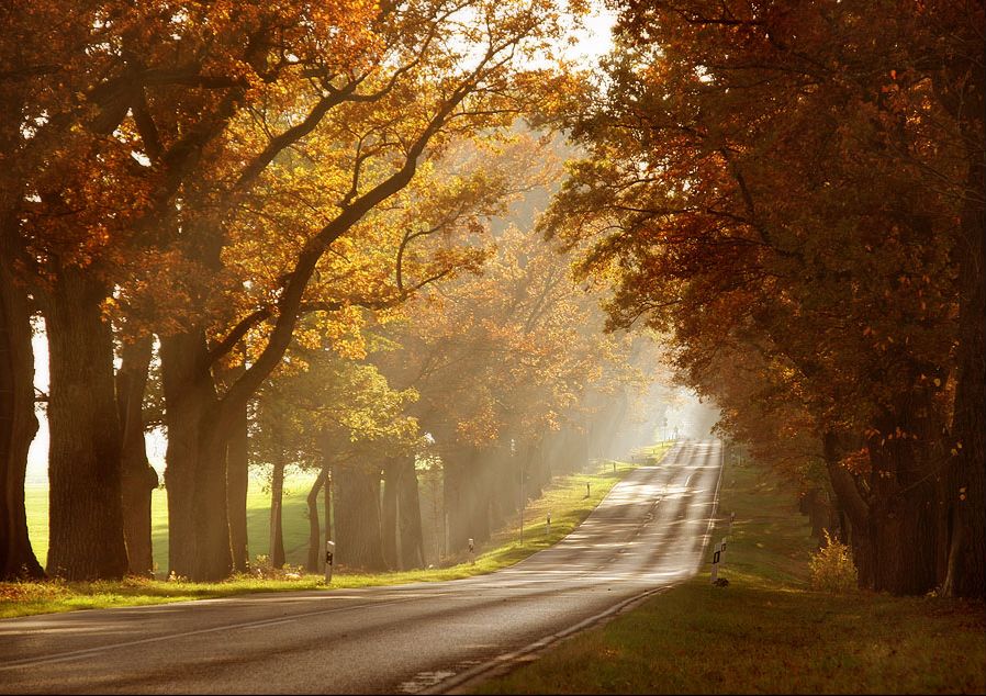 autumn sun