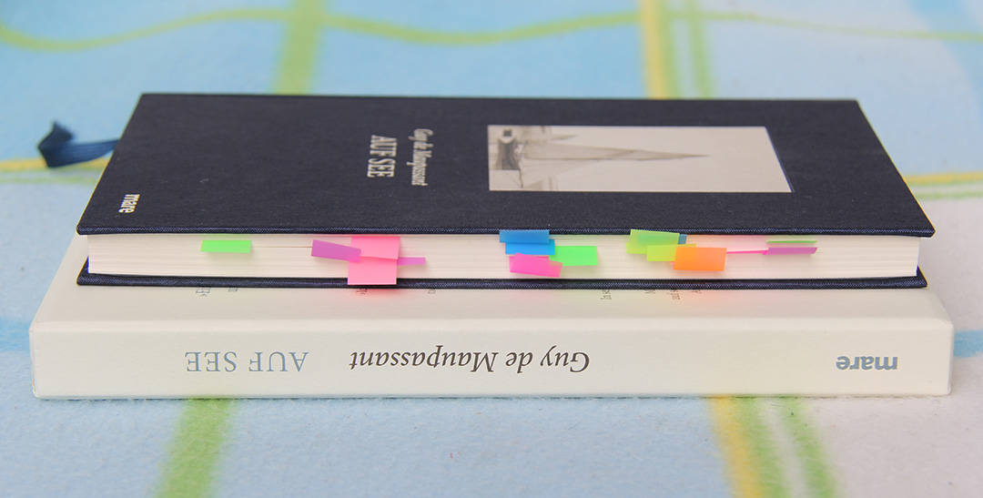 Auf See von Guy de Maupassant