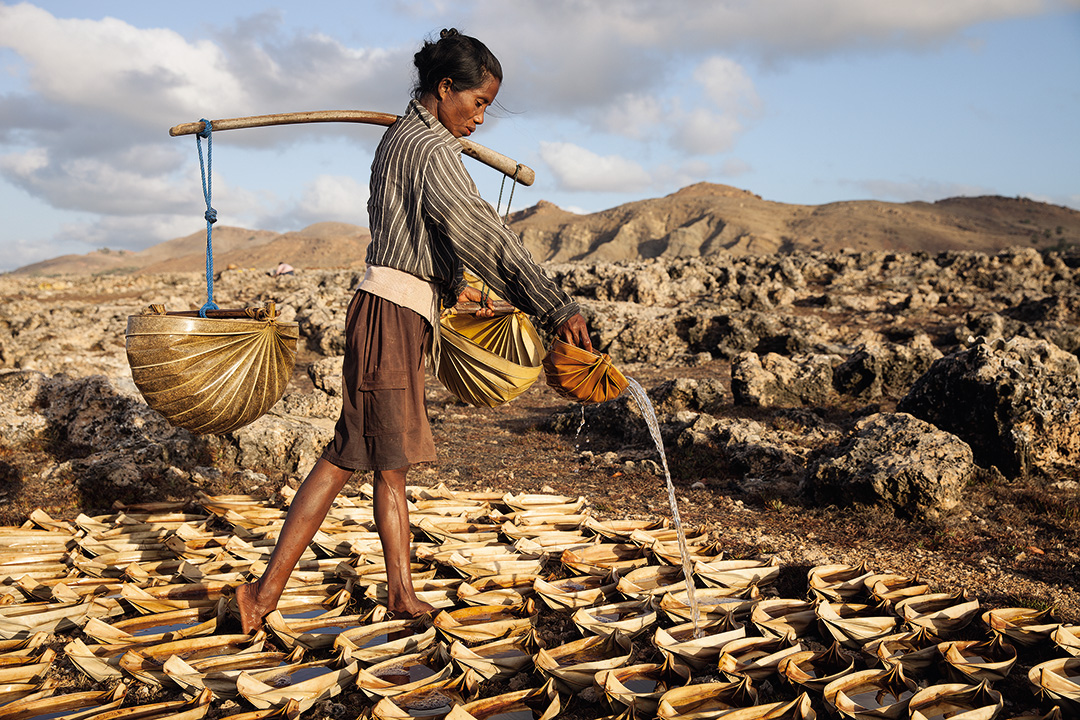 Sawu / Indonesien: © Luke Duggleby / Landa-Ochandiano arquitectos
