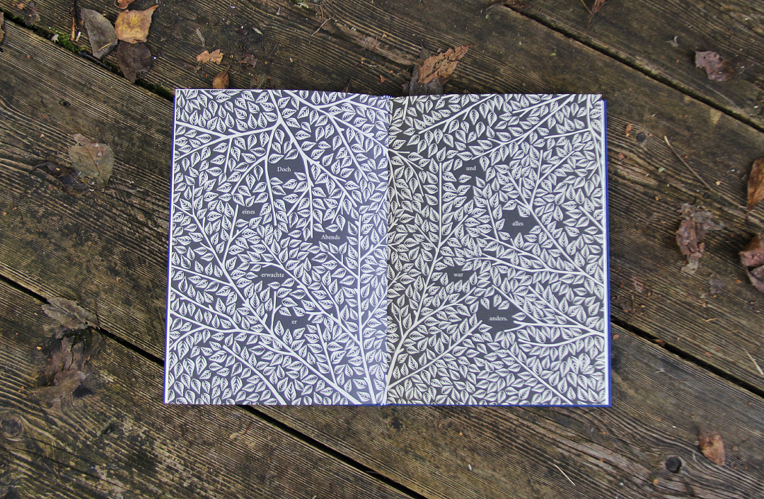 Der Fuchs und der Stern von Coralie Bickford-Smith