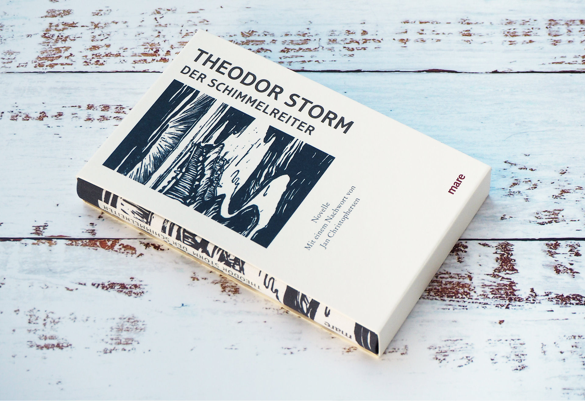 Der Schimmelreiter • Theodor Storm