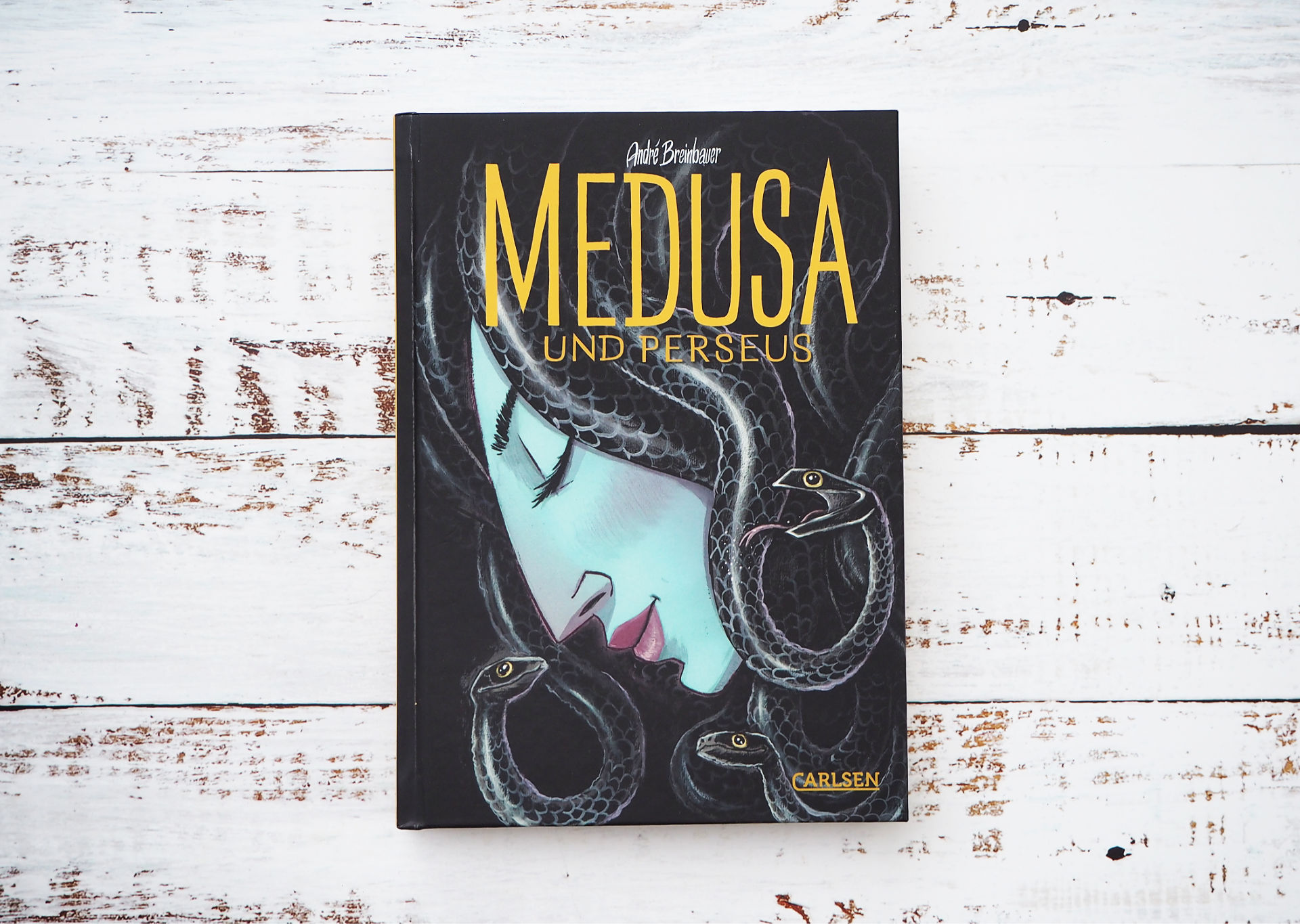 Medusa und Perseus • André Breinbauer